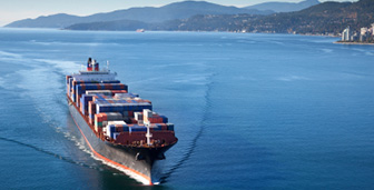 Image of International / Overseas Removals